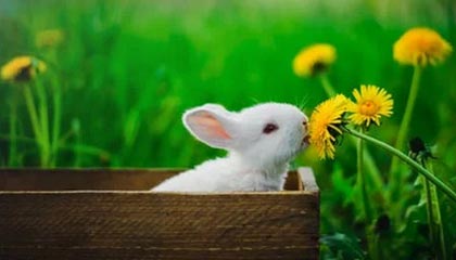 kering.com-体育新闻中心发布智慧场馆内容发布全景解决方案，体育场馆智慧化服务的体现