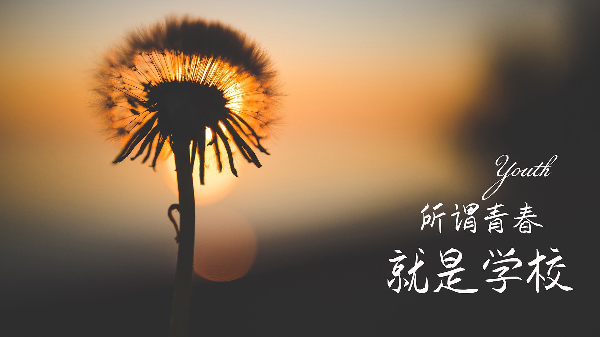 “沙滩合球热潮席卷天府新区，成为年轻人新宠”