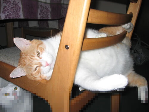 体育纪录片斩获国际奖项,体育 纪录片