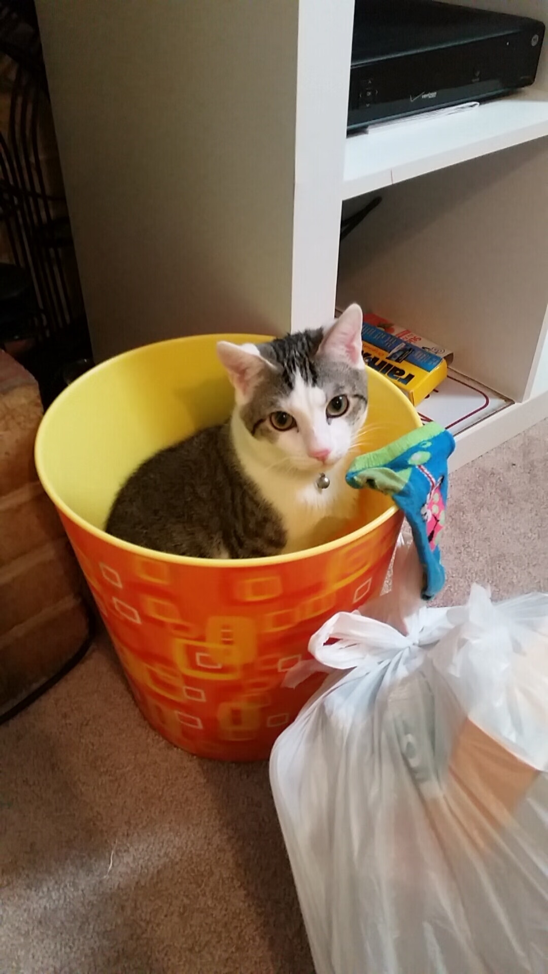 博洛尼亚积极逼抢令对方难以组织，博洛尼亚宣言成员