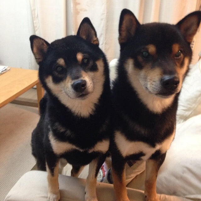 奥运备战加入睡眠质量监控提升恢复效率，奥运无法入睡