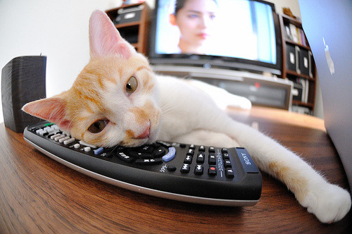 足球训练视频分析系统支持语音讲评，足球视频培训app