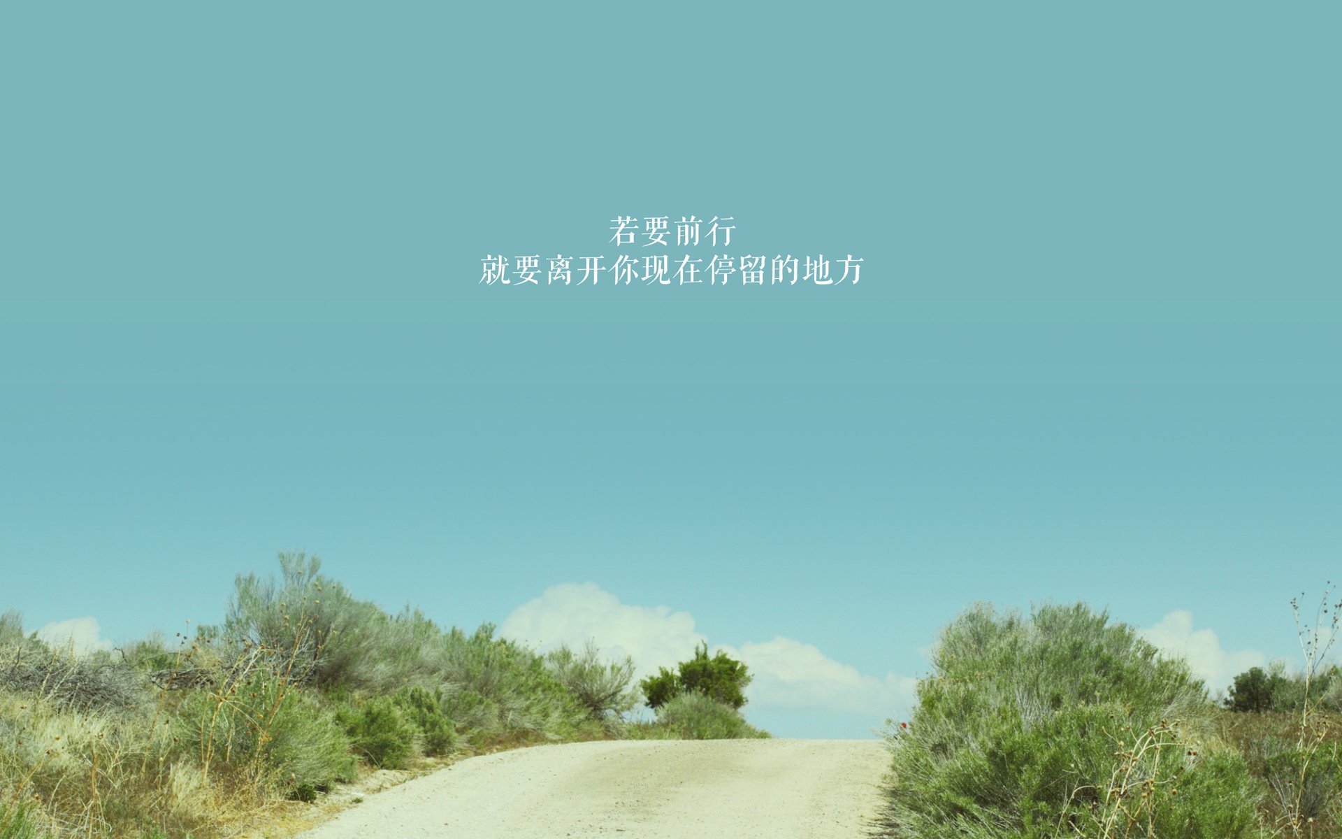 辽宁飞豹多名球员进入最佳阵容候选名单，辽宁飞豹队员集体照