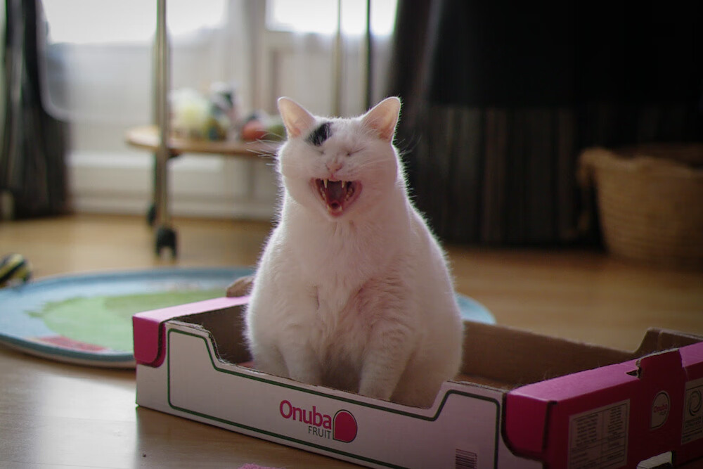 女篮首发阵容调整注重技术特点与身材特点匹配,中国女篮首发阵容