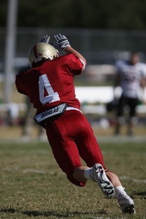 全国青少年跳水锦标赛在深圳火热进行，全国青少年跳水比赛