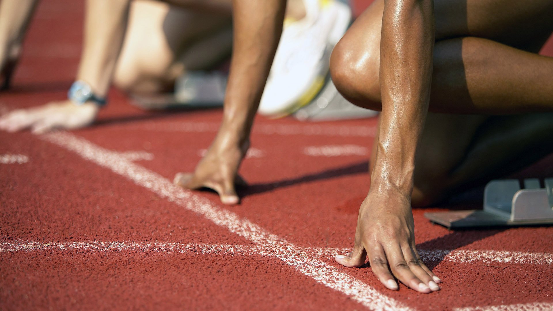 美洲杯热血沸腾：明星拼搏，精彩不断！，美洲杯现场观众