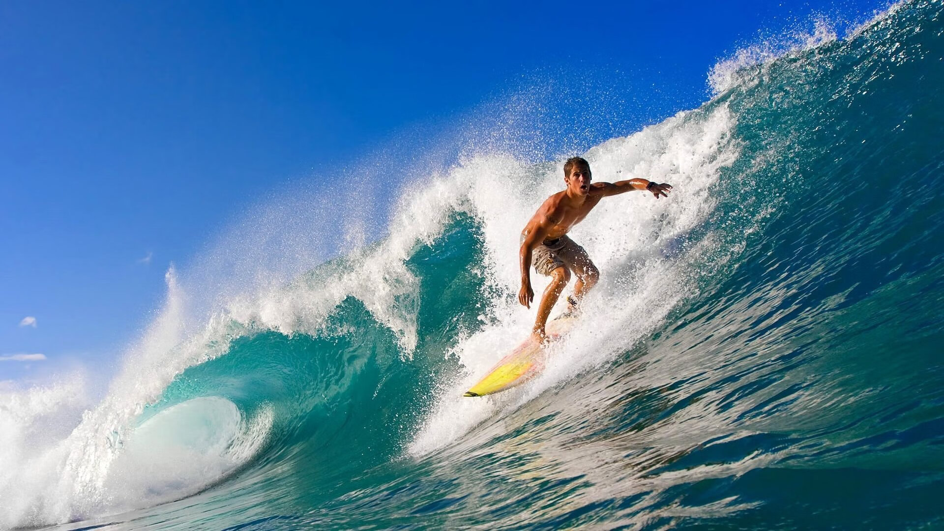 自由式滑雪国家队展开高原训练，自由式滑雪国家队展开高原训练是哪一年